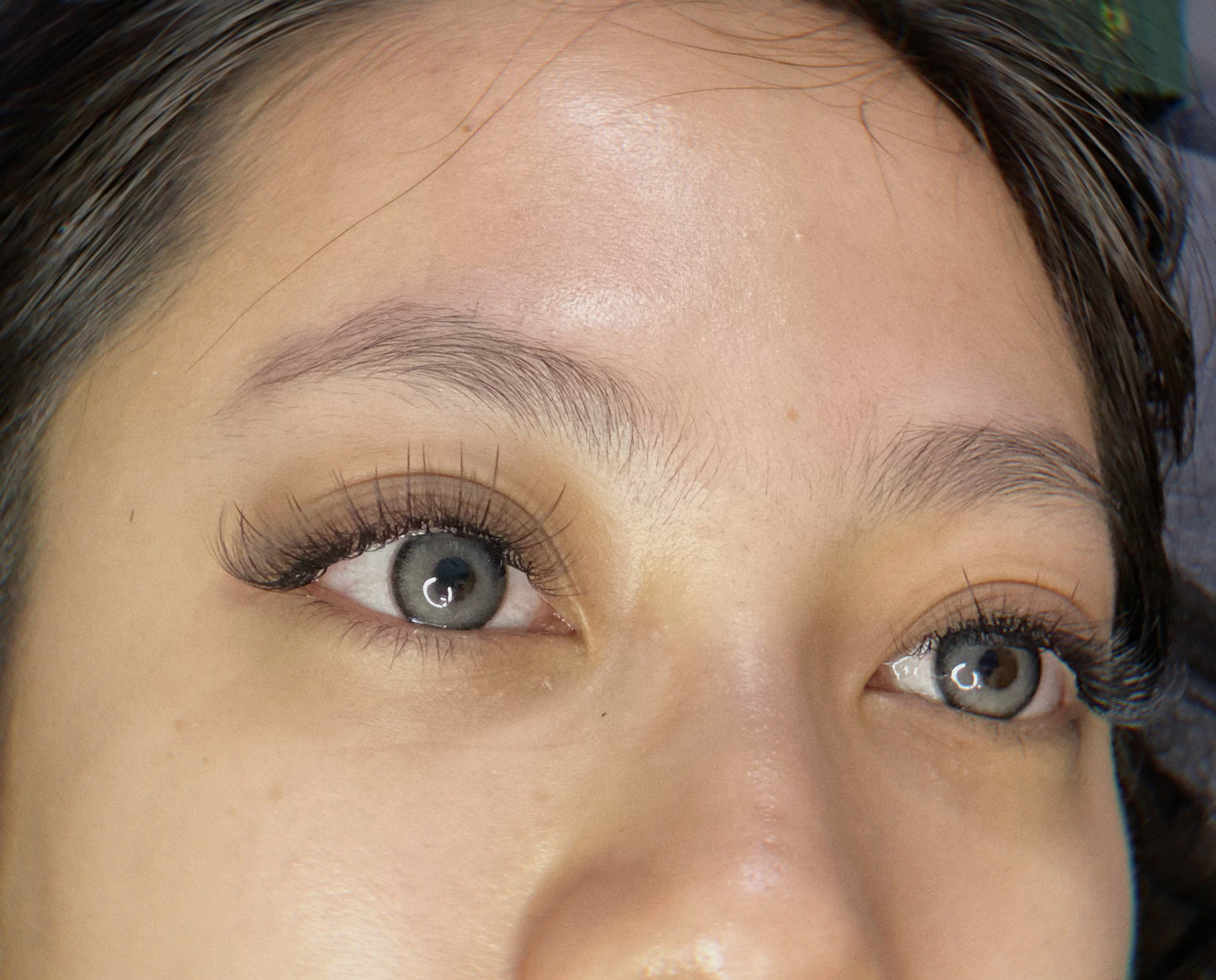 XXL Box 1200 Fans | 6D volume | 40 Lines| 8 sizes in 1 | Premade Volume Fans