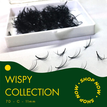 Wispy 500 Fans | 7D volume | C curl | 11mm (spike 13mm)