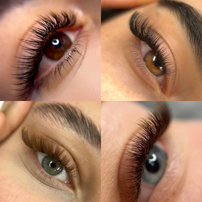 Pack of 3 - Double Layer Promade 10D 500 Fans - For Professional Eyelash Extension - Pinneacle Lash