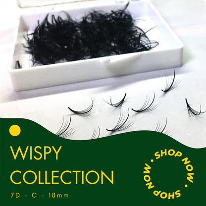 Wispy 500 Fans | 7D volume | C curl | 18mm (spike 20mm)