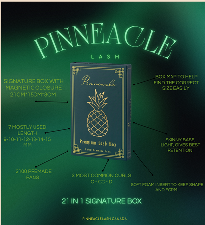 Volume 2100 Fans | 21 sizes in 1 | 8D volume | 7 lengths from 9-15mm |  3 curls : C, CC & D |