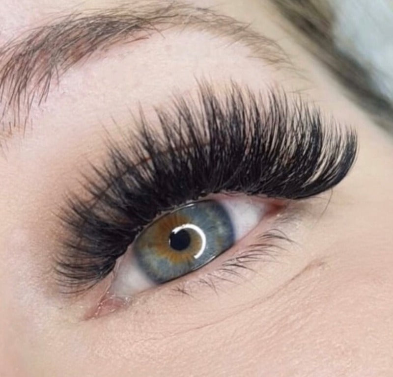 1200 Premade Volume Fans - 8 sizes in 1 box | Lengths: 11-18mm | 10D