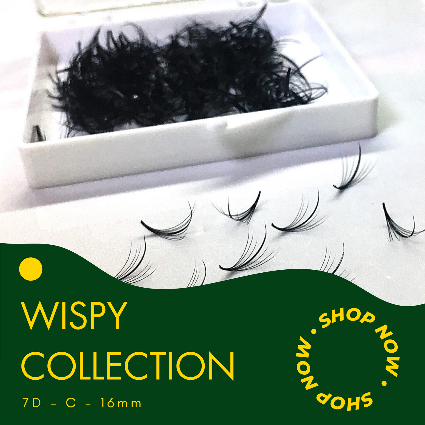 Wispy 500 Fans | 7D volume | C curl | 16mm (spike 18mm)