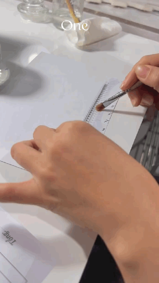 Pack of 5 - 8D Volume - 500 Fans Promade Volume Fans For Professional Eyelash Extension - Pinneacle Lash