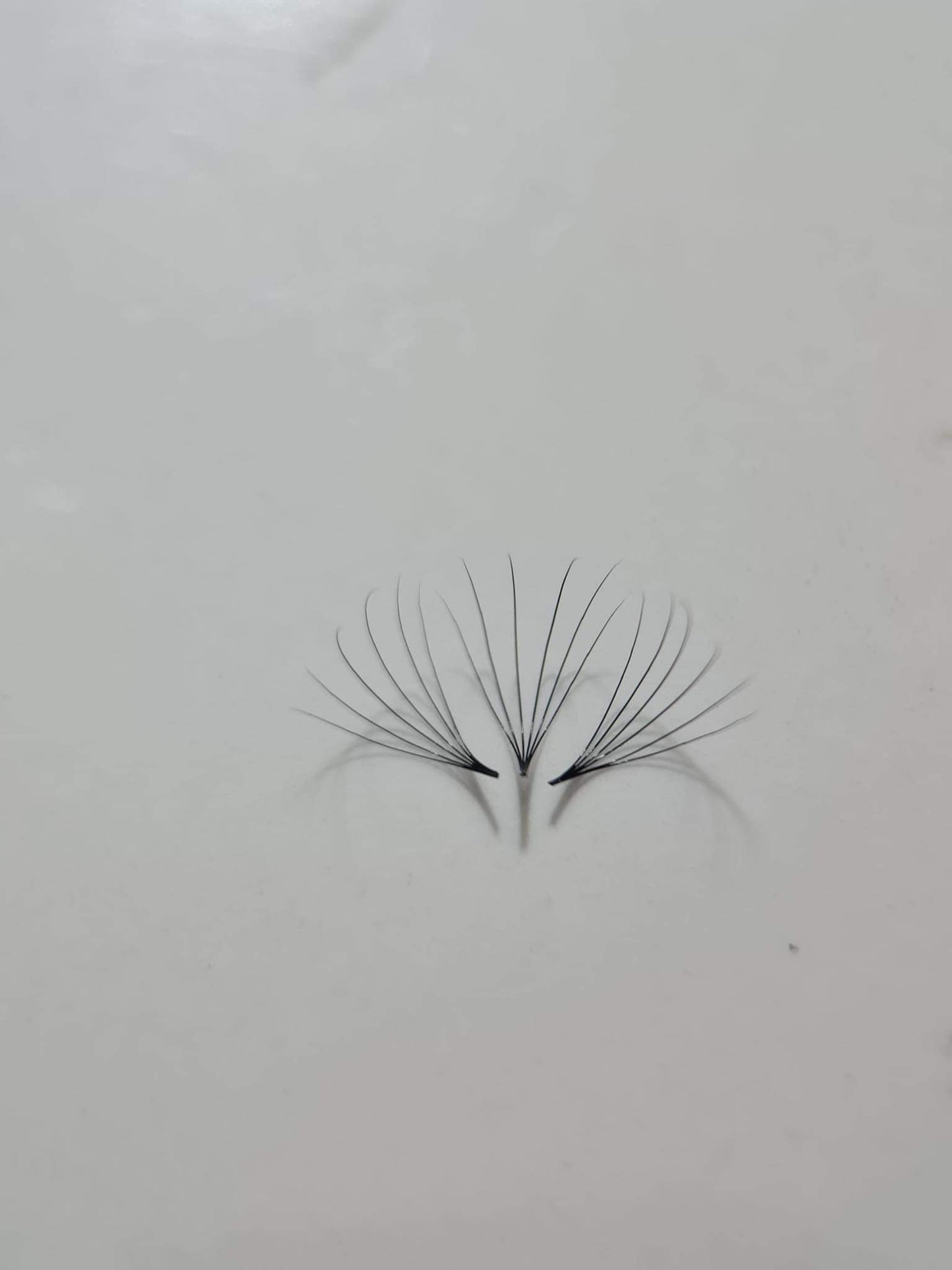 1200 Fans - 8 sizes 1 in box | Lengths: 11-18mm | Round Box | 7D