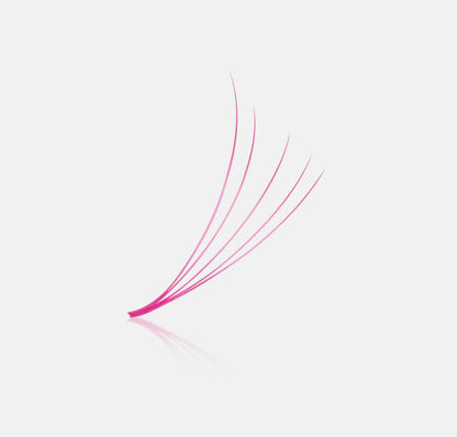 Colored Fans - 1200 Fans - 8 Sizes In 1 Box - 6D Volume