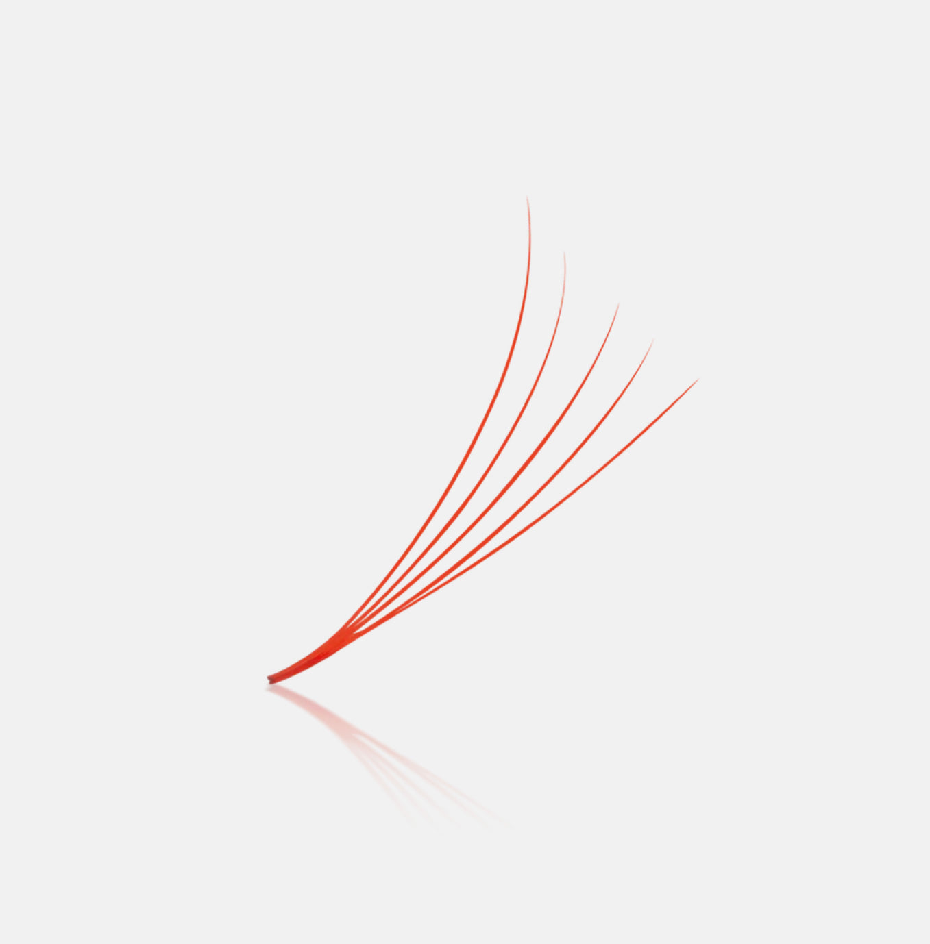 Colored Fans - 1200 Fans - 8 Sizes In 1 Box - 6D Volume