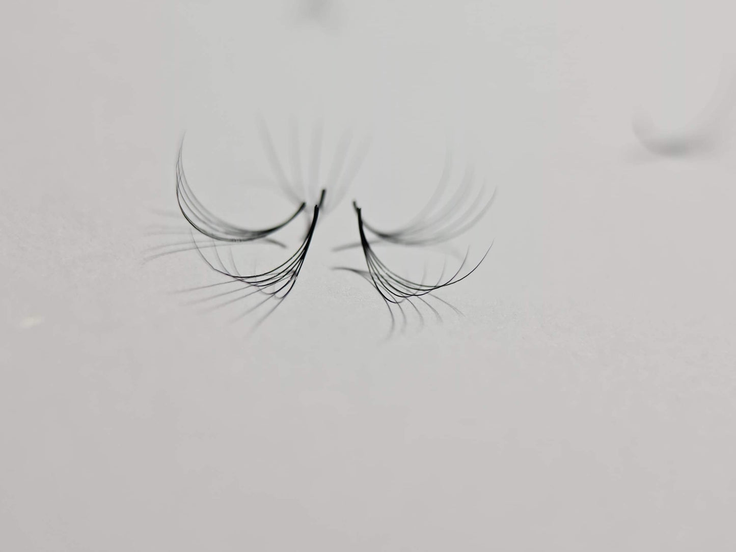 8D Volume | 1200 Fans | 8 sizes in 1 | 9-16mm | Premade Volume Fans