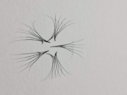 8D Volume | 1200 Fans | 8 sizes in 1 | 9-16mm | Premade Volume Fans