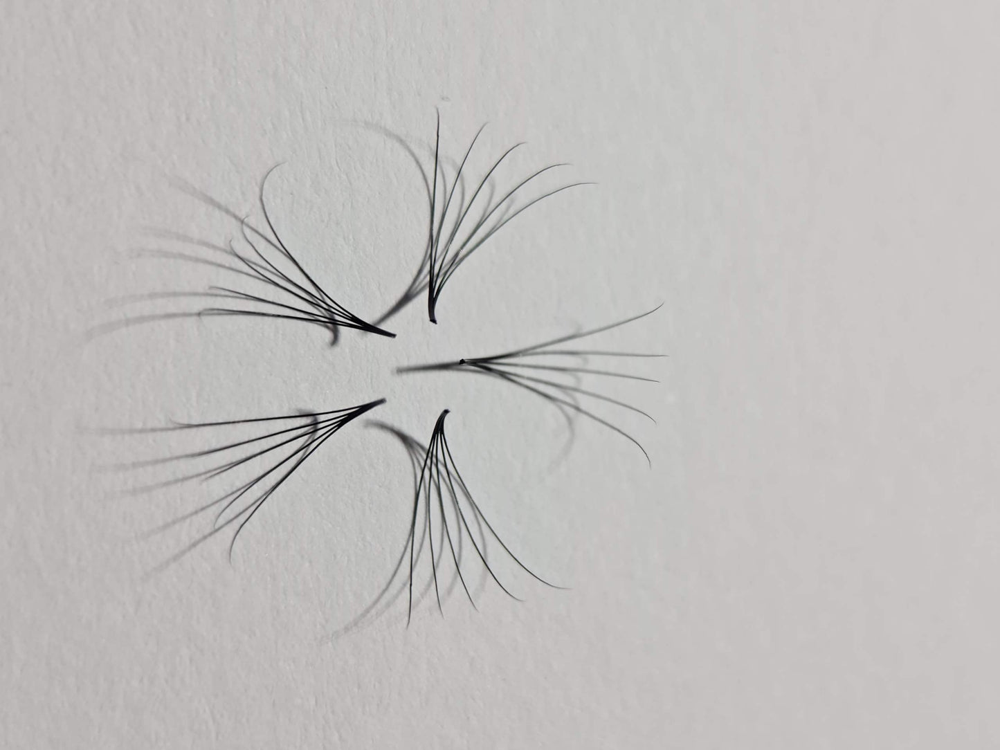 1200 Remade Volume Fans - 8 sizes 1 in box | Lengths: 10-17mm | Round Box | 7D