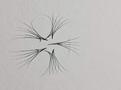 1200 Remade Volume Fans - 8 sizes 1 in box | Lengths: 10-17mm | Round Box | 7D