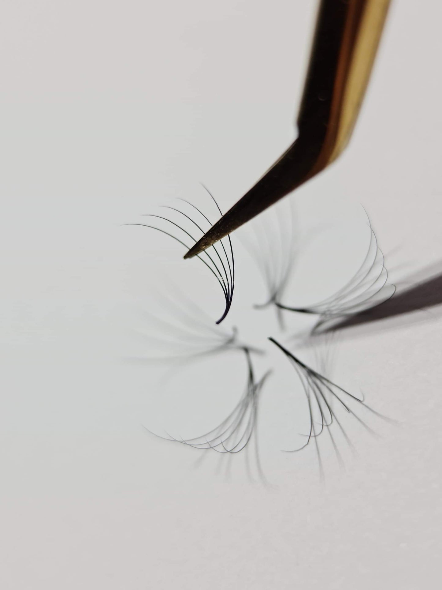 1000 Fans - 3 sizes in 1 box - 0.07 - 6D volume - D curl (13-14-15mm)