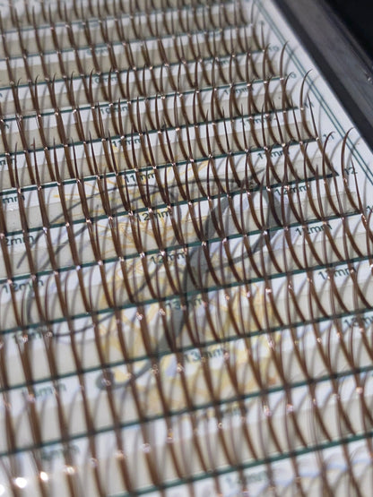 Premade Wet Spike - 5D Closed Tip Spike For Professional Eyelash Extensions (Mix Brown & Black)