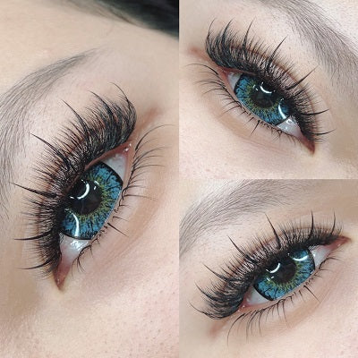 Wispy 500 Fans | 7D volume | C curl | 18mm (spike 20mm)