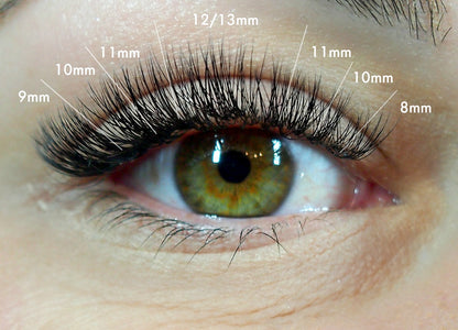 6D Volume | 1200 Fans | 8 sizes in 1 | 9-16mm | Premade Volume Fans