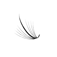 XXL Box | Wispy 1200 Fans | 9D volume | 40 Lines| 4 sizes in 1 | Wispy Premade Volume Fans
