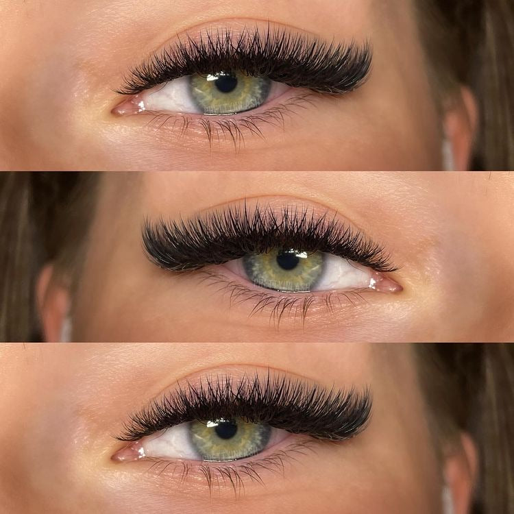 18D Promade Volume 1200 Fans | Premium Handmade volume fans for professional eyelash extension