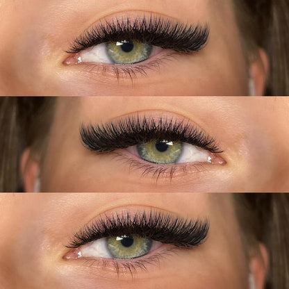 18D Promade Volume 1200 Fans | Premium Handmade volume fans for professional eyelash extension