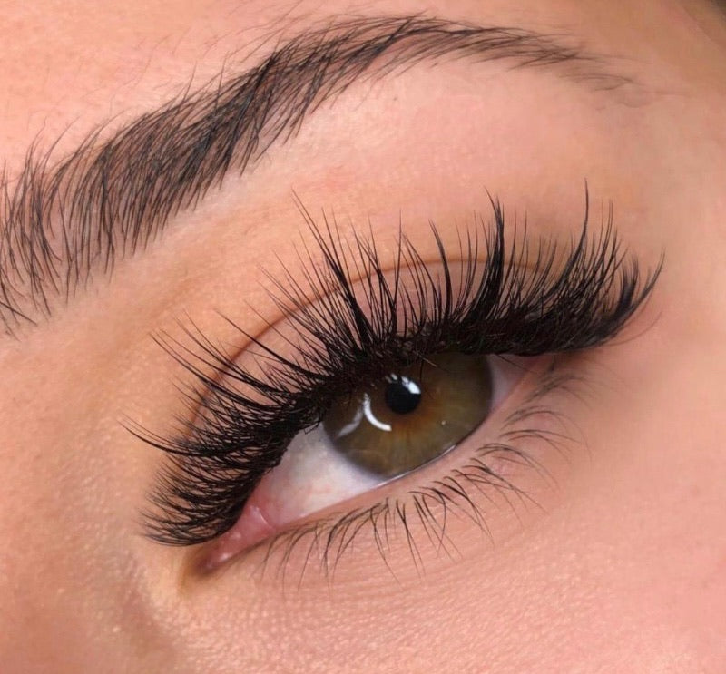 Pack Of 3 - Matte Black Classic Tray C, CC, D, B, M, L, L+, LC, LD - Pinneacle Lash - Lash Supply For Professional Eyelash Extension