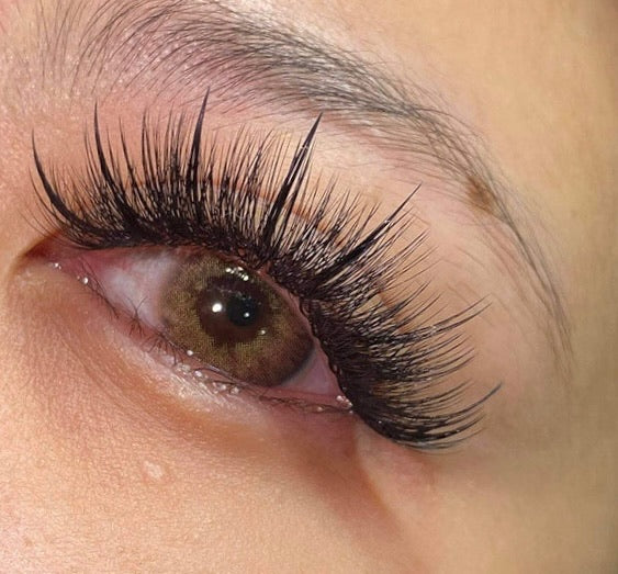 Soft Flat Classic Tray - Ultra Matte Flat Base Lash 0.15 Single Length - Pinneacle Lash Extension Supply