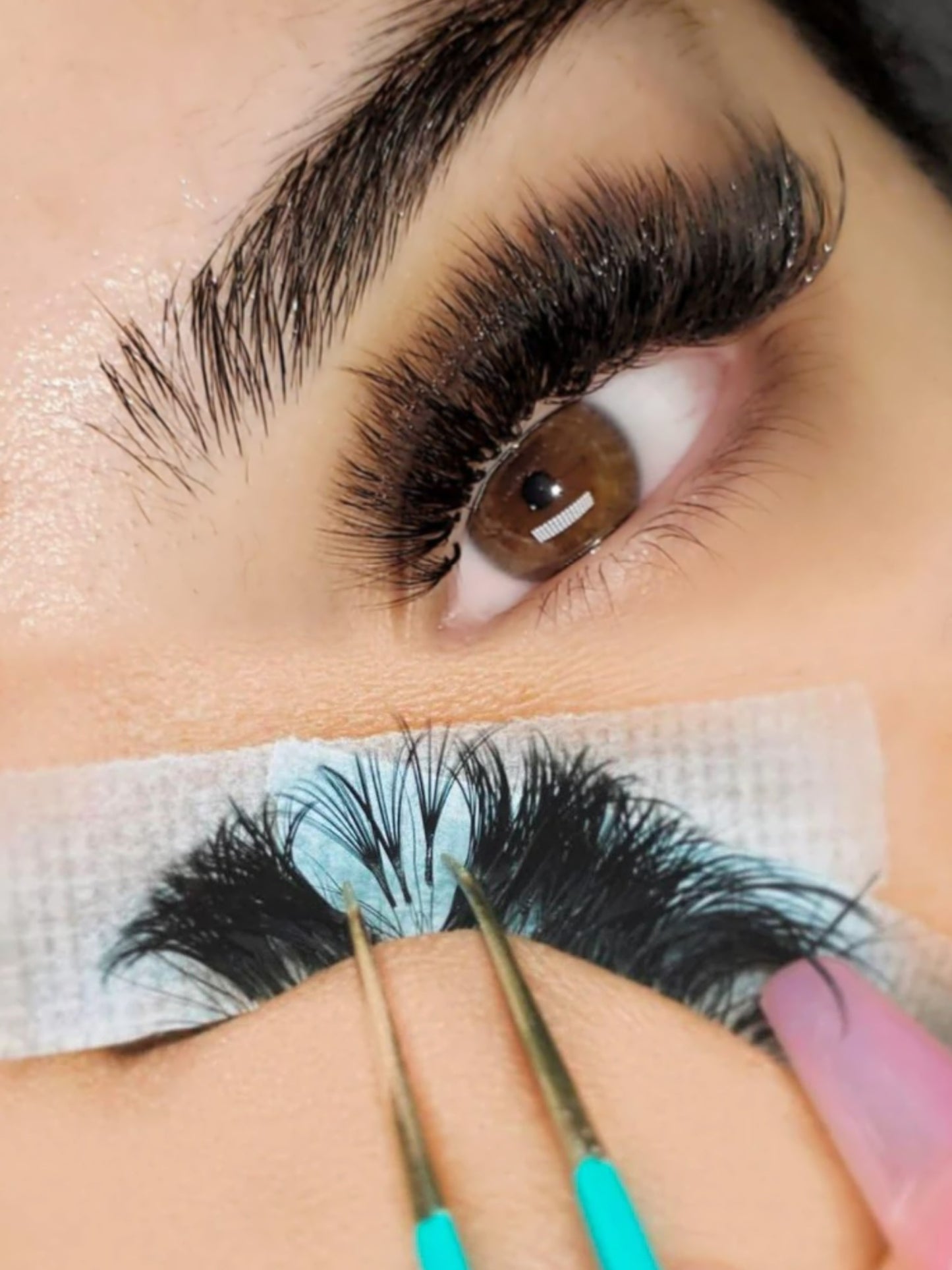 18D Promade Volume 1200 Fans | Premium Handmade volume fans for professional eyelash extension