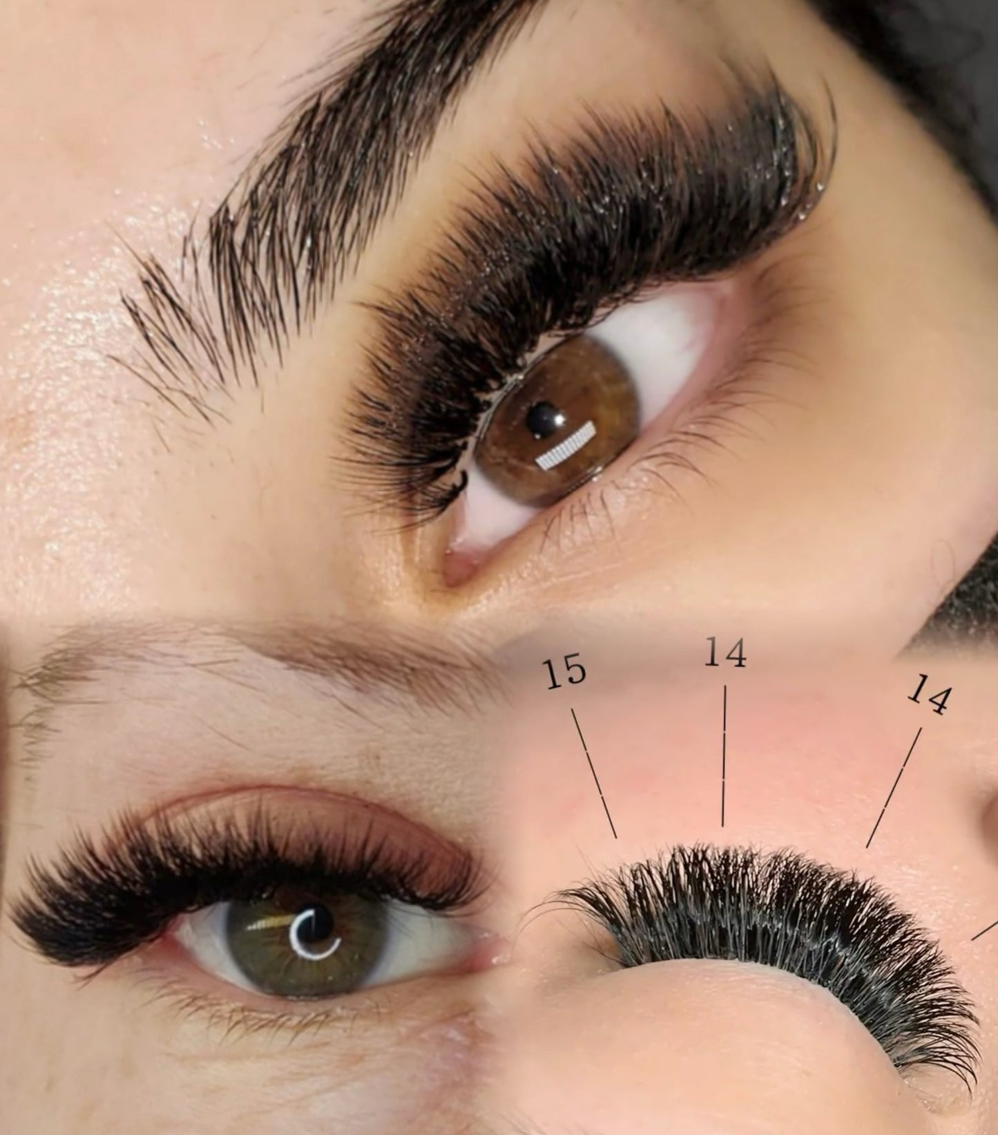 Pack of 3 - Double Layer Promade 10D 500 Fans - For Professional Eyelash Extension - Pinneacle Lash