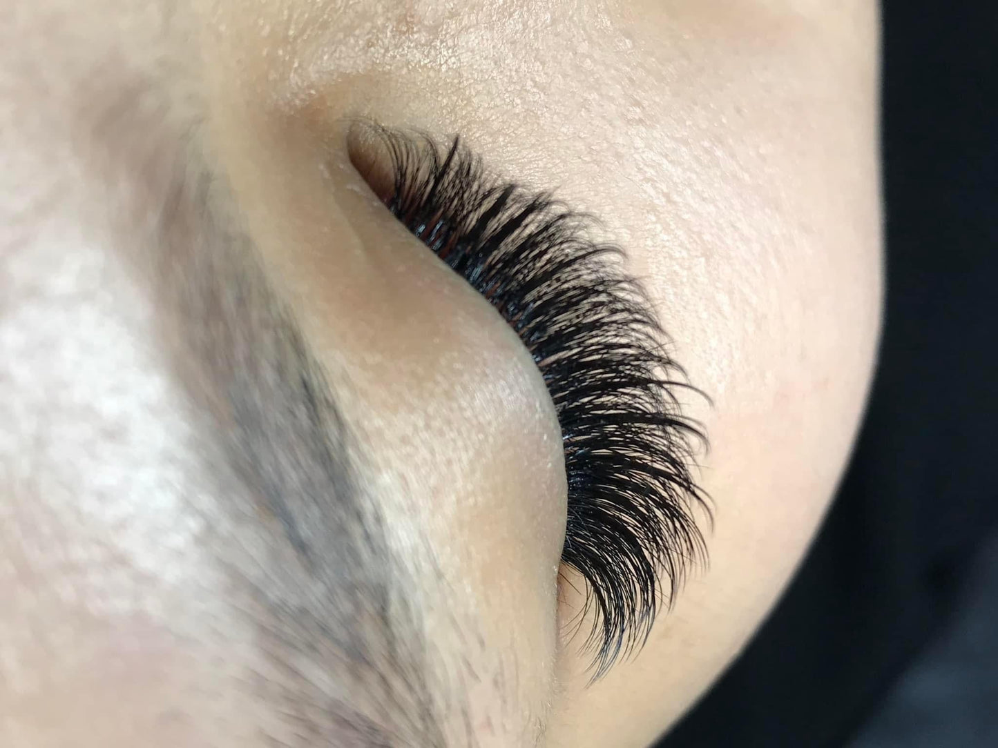 Wispy 500 Fans - Pack of 9 - 5D volume