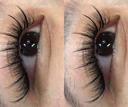 Wispy 500 Fans - Pack of 9 - 5D volume