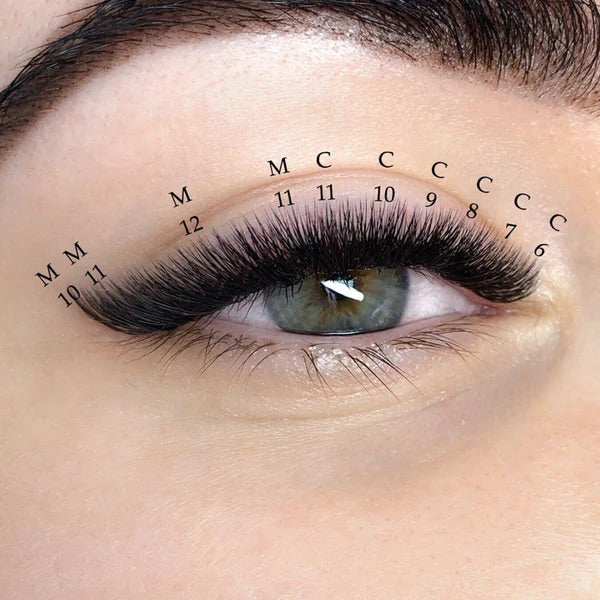 XXL Box 1200 Fans | 6D volume | 40 Lines| 8 sizes in 1 |  Premade Volume Fans