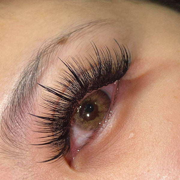 Wispy 500 Fans - Pack of 9 - 5D volume