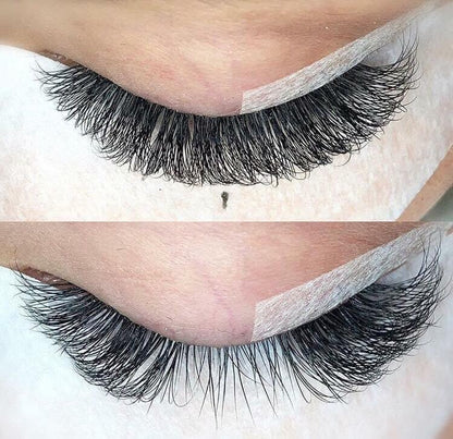 8D Volume | 1200 Fans | 8 sizes in 1 | 9-16mm | Premade Volume Fans