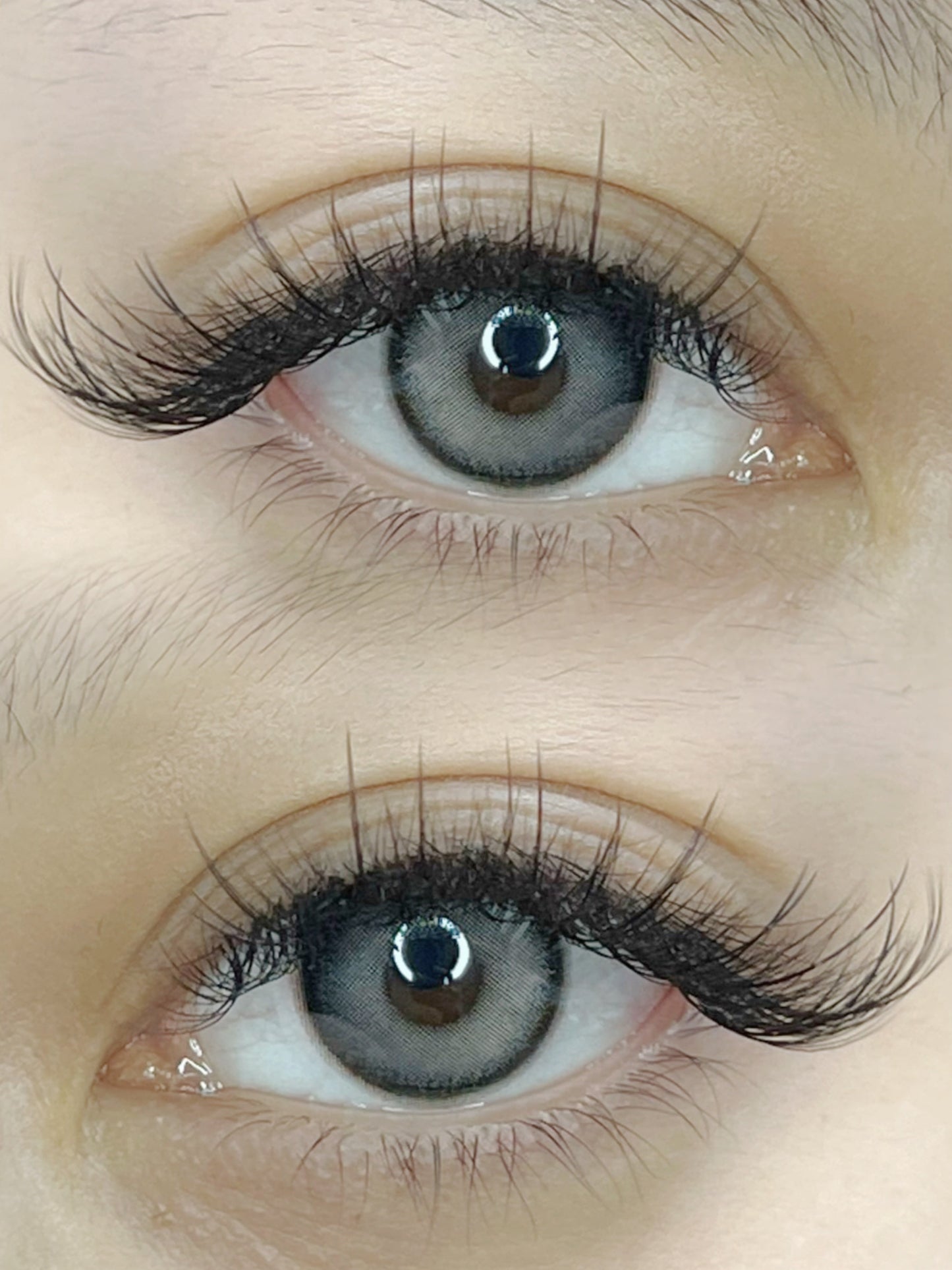 Wispy 500 Fans - Pack of 9 - 5D volume