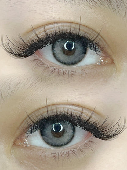 Wispy 500 Fans - Pack of 9 - 5D volume