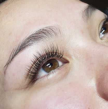 3D Volume - 1000 Fans Promade Volume Fans For Professional Eyelash Extension - Pinneacle Lash