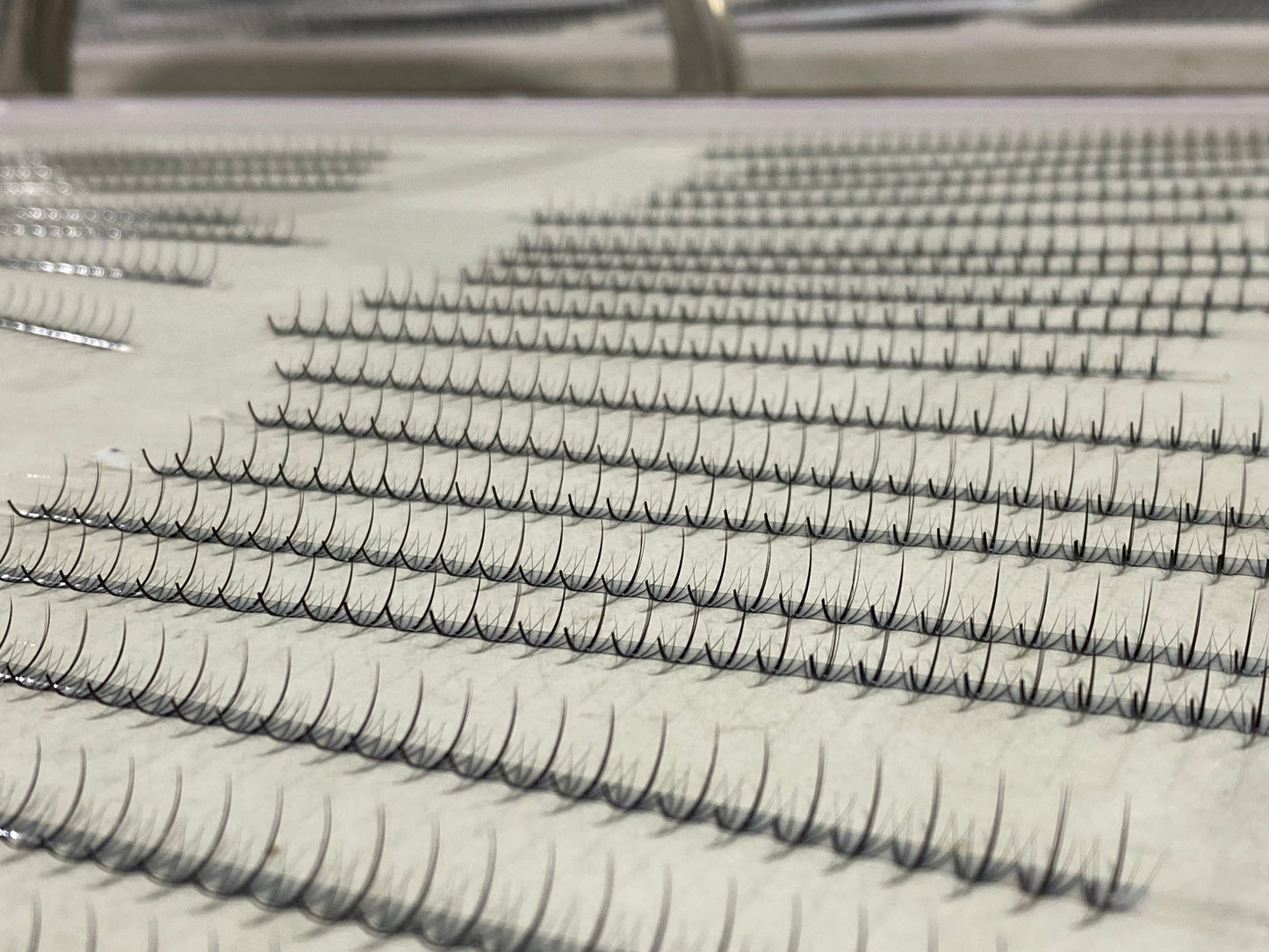 Wispy 500 Fans | 7D volume | C curl | 16mm (spike 18mm)