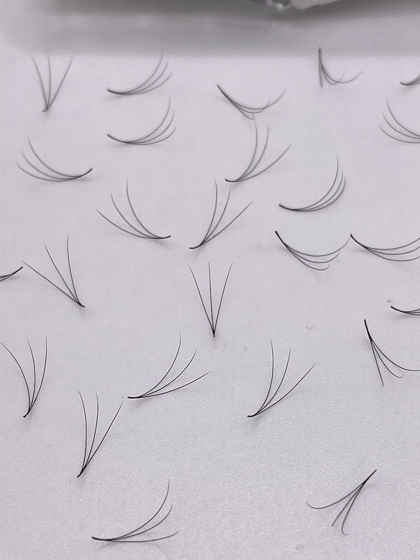 3D Volume - 1000 Fans Promade Volume Fans For Professional Eyelash Extension - Pinneacle Lash