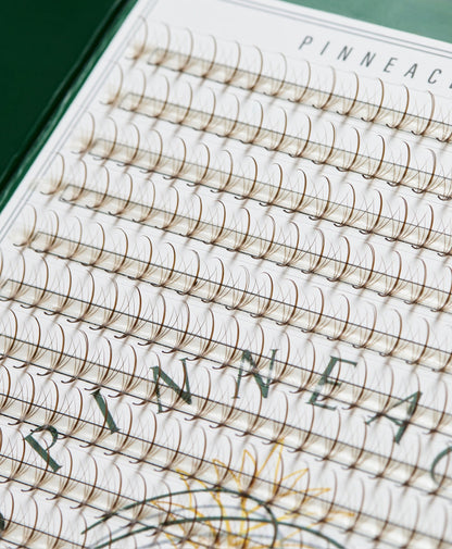 Brown Promade Wispy 1200 Fans - 5D Volume - Mixed Lengths & Curls | 40 Lines | 5 sizes in 1 | Premade Volume Fans Eyelash Extensions