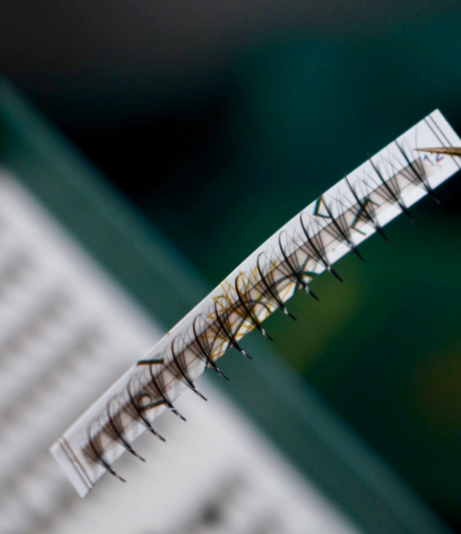 Wispy Volume Promade Fans For Eyelash Extensions - 480 Premade Fans - 32 Lines - Choose from C,CC,D, M & L curl