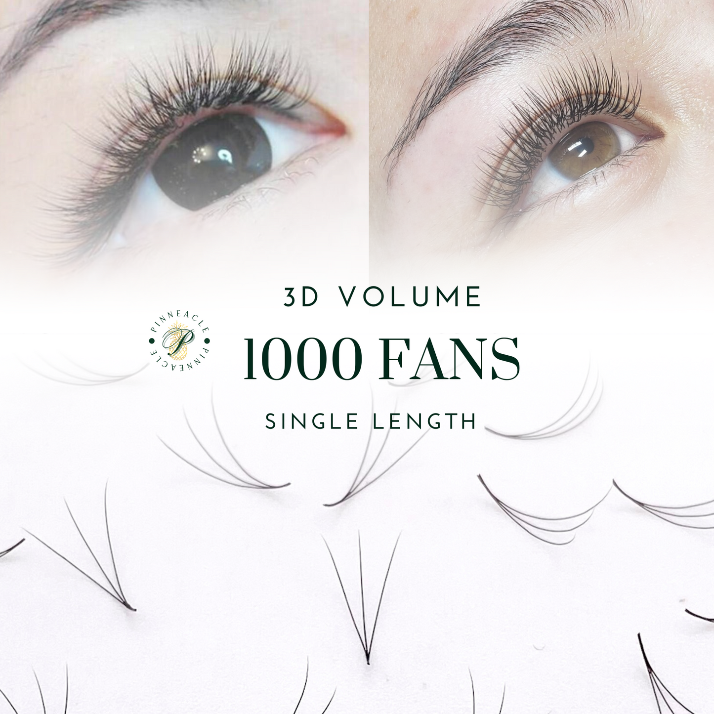 3D Volume - 1000 Fans Promade Volume Fans For Professional Eyelash Extension - Pinneacle Lash