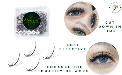 Wispy 500 Fans - Pack of 10 - 9D volume