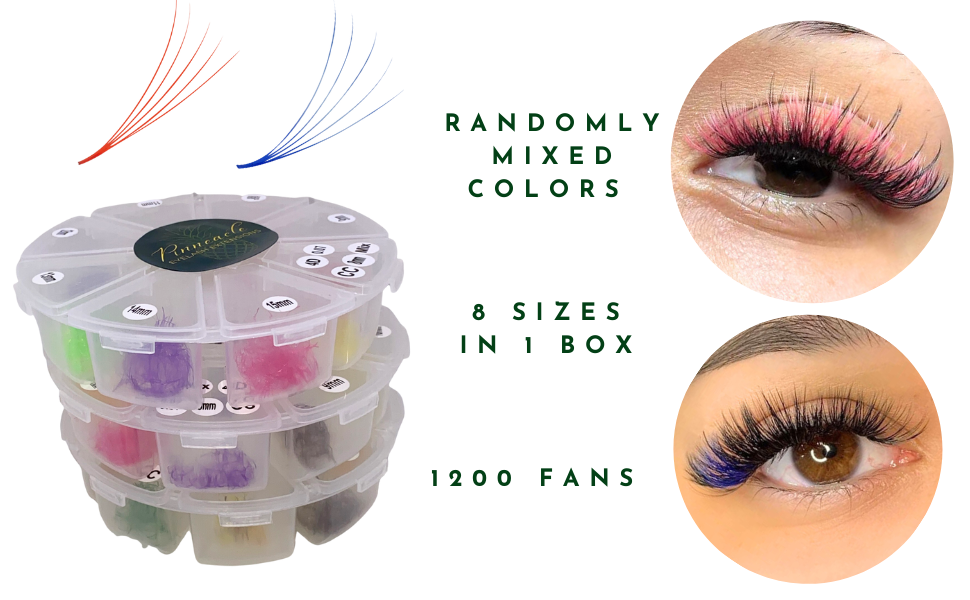 Colored Fans - 1200 Fans - 8 Sizes In 1 Box - 6D Volume