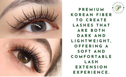 Wispy 500 Fans | 5D volume | C curl | 17mm (spike 19mm)