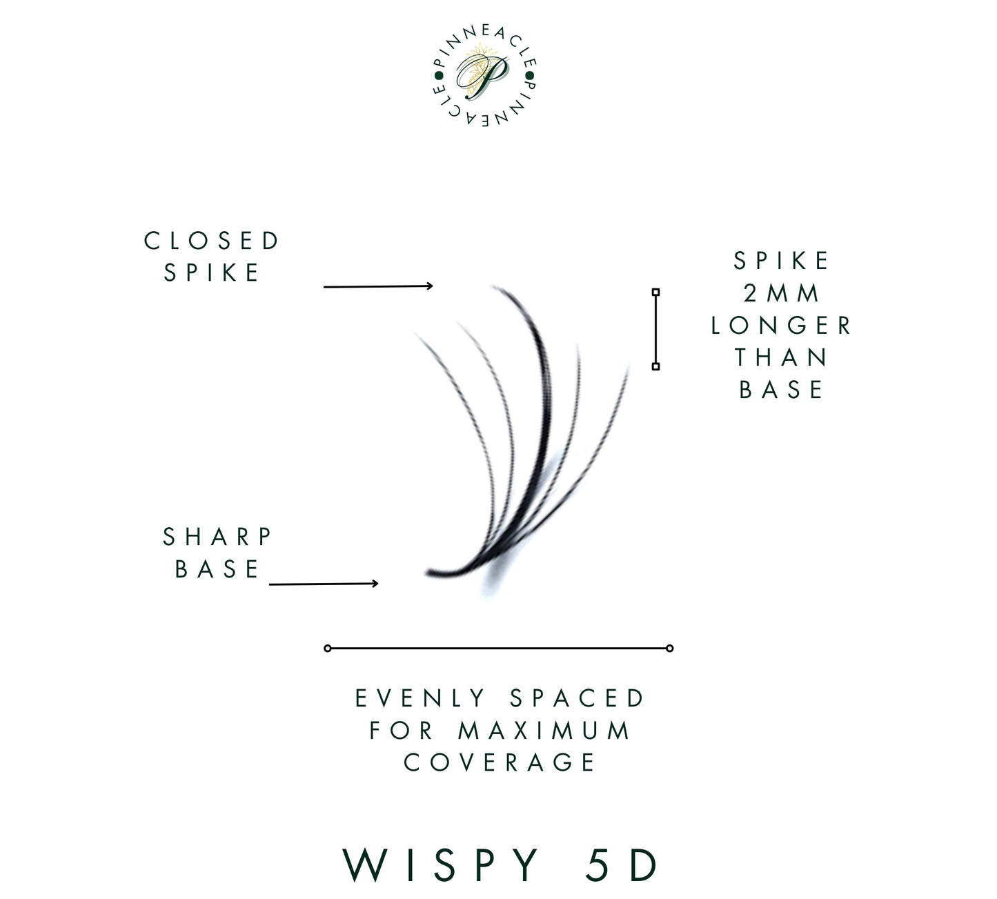 Wispy Volume Promade Fans For Eyelash Extensions - 480 Premade Fans - 32 Lines - Choose from C,CC,D, M & L curl