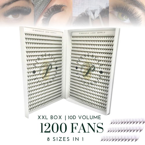 10D Promade Fans - XXL Box | Volume 1200 Fans | Premade volume fans for professional eyelash extension