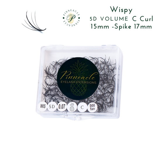 Wispy 500 Fans | 5D volume | C curl | 15mm (spike 17mm)