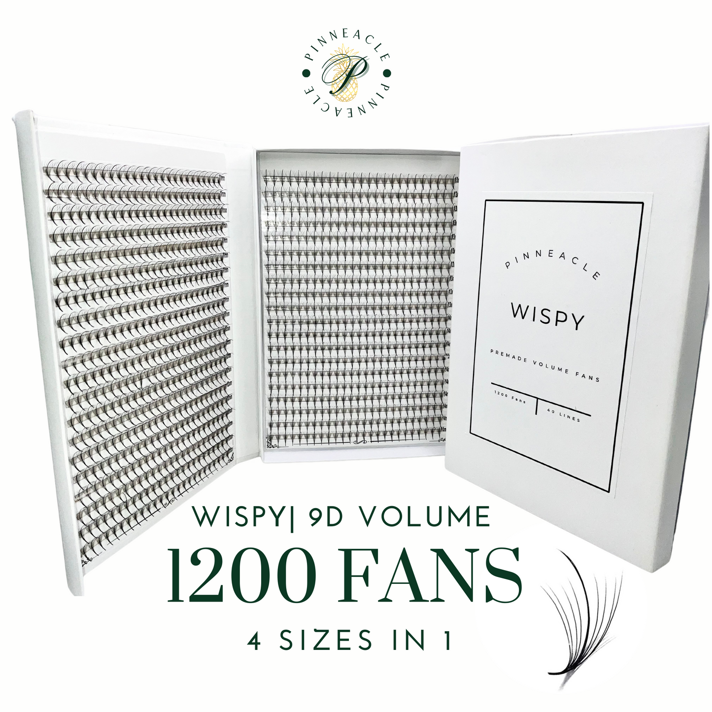 XXL Box | Wispy 1200 Fans | 9D volume | 40 Lines| 4 sizes in 1 | Wispy Premade Volume Fans