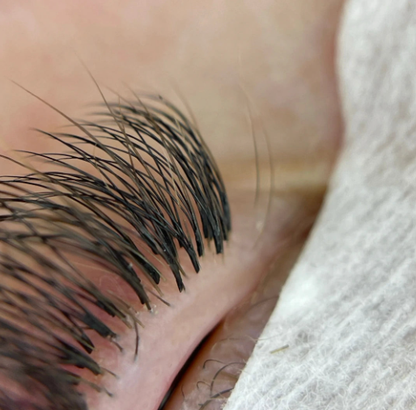 Pack of 3 - Double Layer Promade 10D 500 Fans - For Professional Eyelash Extension - Pinneacle Lash