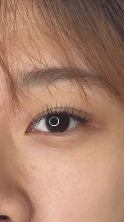 Premade Ultra-Narrow 5D Spike Fans - 800 Fans Per Box - Premium Handmade Volume Fans For Professional Eyelash Extensions