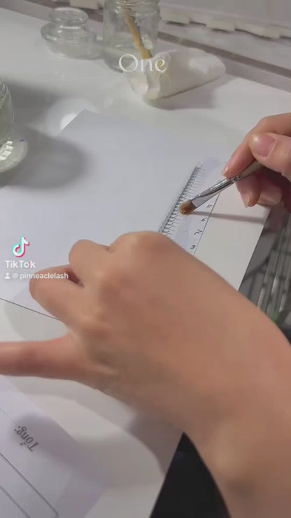 1200 Premade VolumeFans - 8 sizes in 1 box | Lengths:  9 -16mm | Round Box | 10D