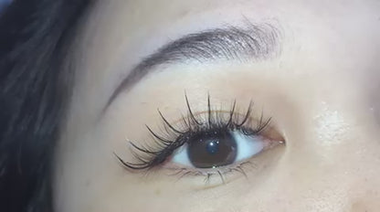 Pinneacle - 1200 Fans - 5D Wispy Premade Fans - Premade Spike + Volume Fans For Professional Eyelash Extensions (0.07-5D)